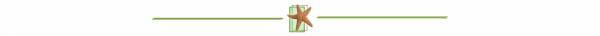 Divider with image of a starfish.