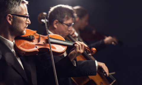 A group of string players with the Florida Orchestra.